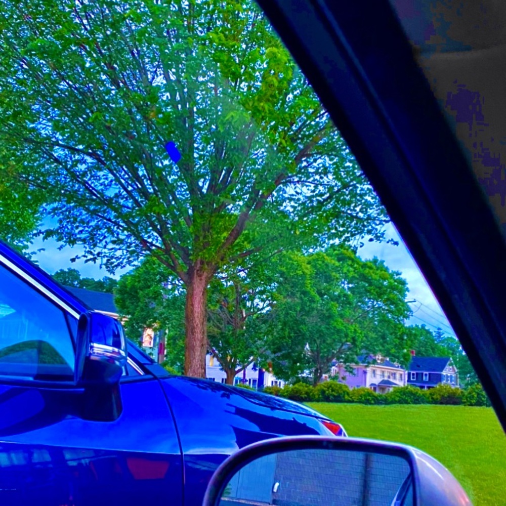 Meet your Posher, Elizabeth